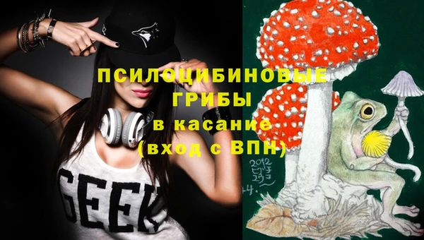 ECSTASY Абаза