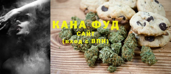 мет Алексин