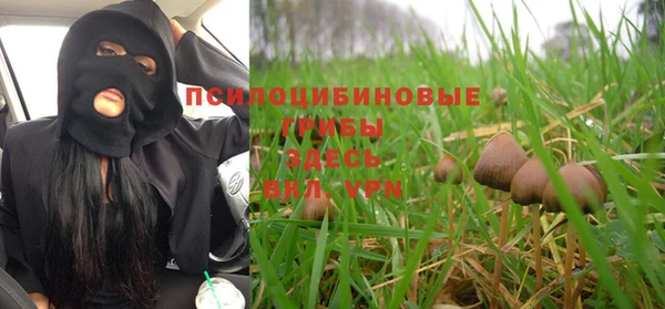 мет Алексин