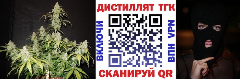 где можно купить   Дубовка  ТГК вейп 